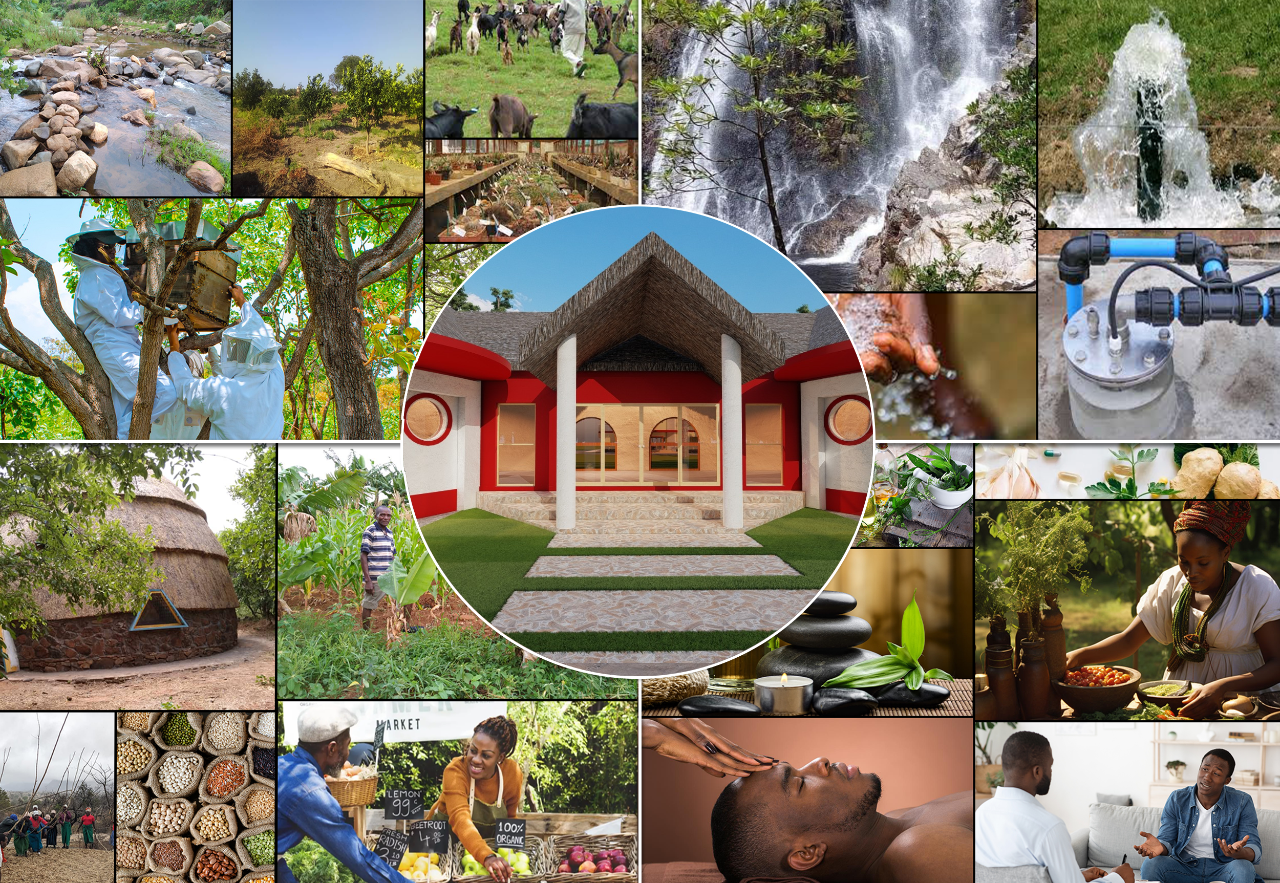 Youth Economy Collage 3